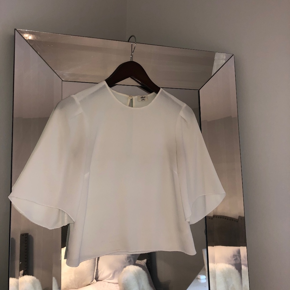 Aritzia Blouse